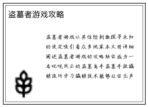 盗墓者游戏攻略